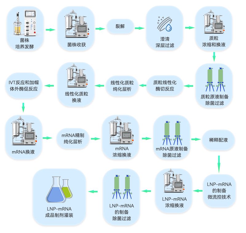 振兴东北医药产业:黑龙江悦泰药业在行动